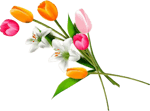 flower-icon